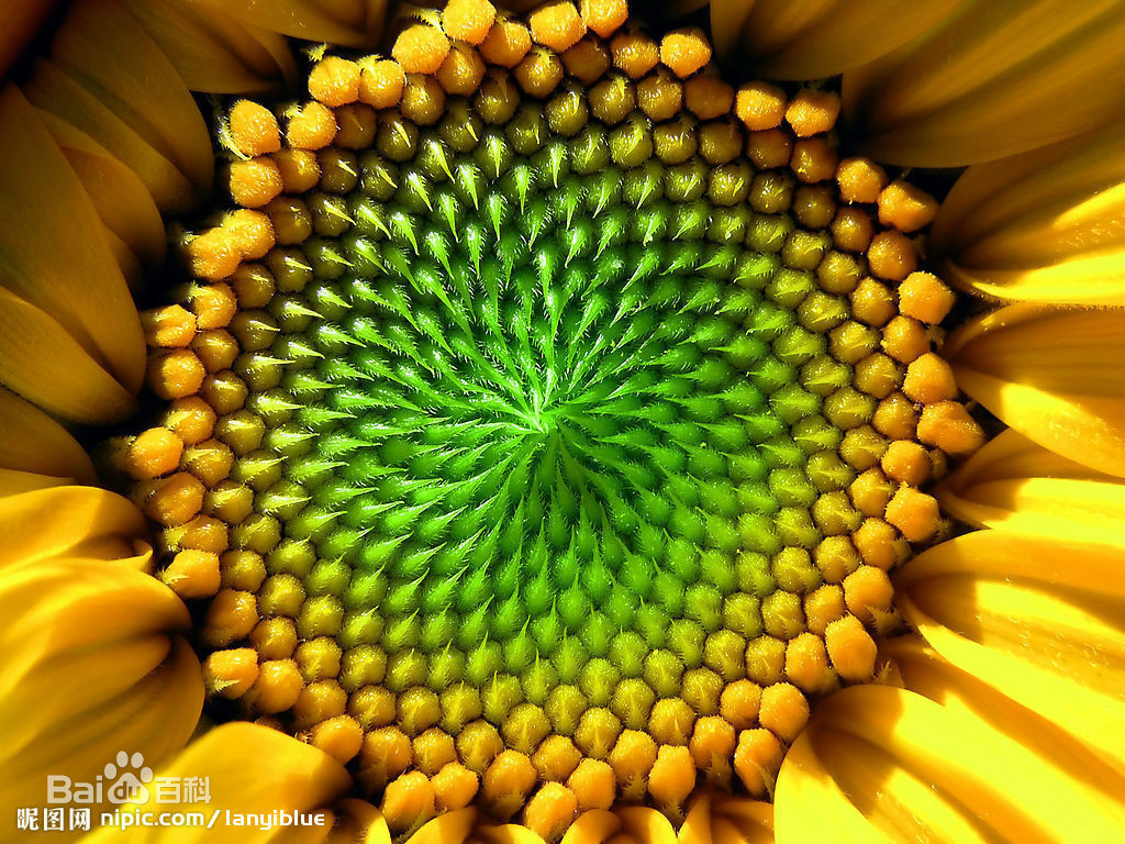 20200211132853158139893325402.jpg 20200211132853158139893325402.jpg